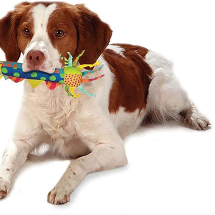 Petstages Cool Teething Stick for Dogs - Soothing Chew Toy for Teething Puppies - Freezable for Added Relief - Durable & Safe Dental Aid, Multicolor, One-Size