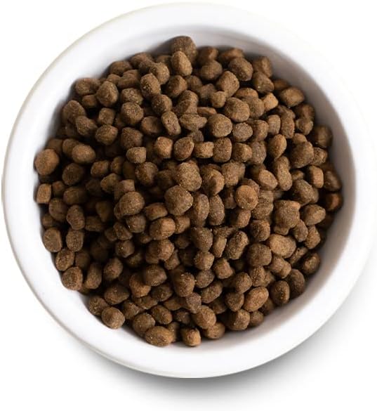 Open Farm, Ancient Grains Dry Dog Food for Puppies, Protein-Rich & Nutrient Dense, 90% Animal Protein Mixed with Non-GMO Fruits, Veggies and Superfoods, Chicken & Salmon Recipe for Puppy, 4lb Bag