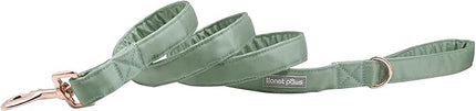 Lionet Paws Dog Leash - Silk Green Leash for Small Medium Large Dogs Matching Collar for Girl and Boy