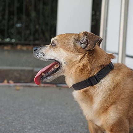 Dog Collar Black Basic Adjustable Dog Collars with Breathable Quick Release Nylon Pet Collar for Puppy Small Medium Large Dogs Boy