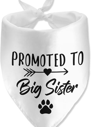 Big Sister Dog Bandana - Pregnancy Announcement Pet Scarf for Dog Lover Pregnancy Reveal Ideas