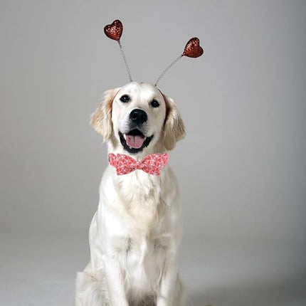 Lionet Paws Valentines Dog Collar Bowtie, Dog Bowtie Collar with Metal Buckle for Dogs and Cats, Adjustable Comfortable Dogs Collars Girl Boy，XXS, Neck 7-11 in