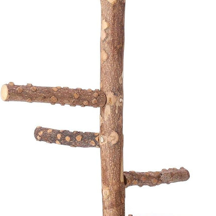Bird Perch Nature Wood Stand for 3-4pcs Small Medium Parrots (M)