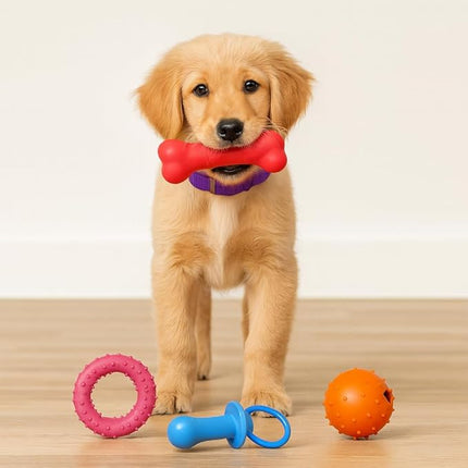 Jalousie Chew Toy Natural Rubber chew Toy for Interactive Play Toy Ball Rope Rubber Value Set for Small to Medium Breed Dog mutt Puppy