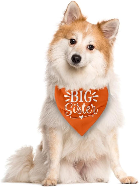 Big Sister Dog Bandana, Big Sister Bandana for Dog, Dog Pregnancy Announcement, Orange Dog Bandana, Big Sister Dog Shirt, Dog Bandana Pet Scarf, Dog Bandana for Small Medium Large Dogs (D28)