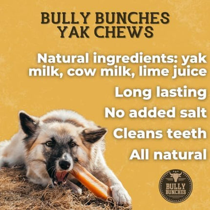 Bully Bunches Small Authentic Yak Cheese Himalayan Chews for Small Dogs & Puppies - All Natural Dog Treat Dental Chews, Made with Real Yak Milk for Teething - Lactose & Rawhide Free (6 Pk)