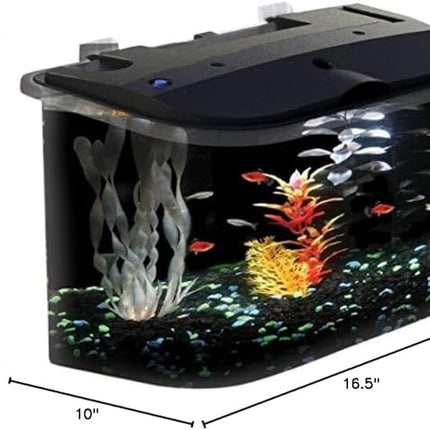 Koller Products 5-Gallon Aquarium Kit with LED Lighting and Power Filter, Ideal for a Variety of Tropical Fish