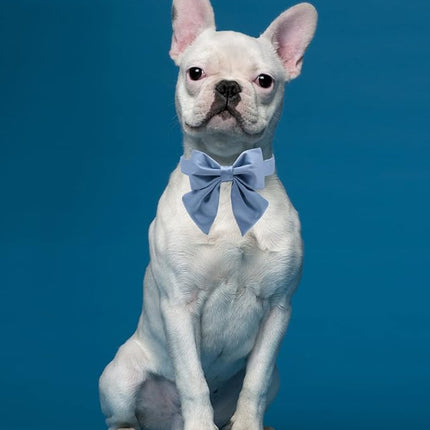 Lionet Paws Bowtie Dog Collar - Comfortable Silk Dog Collar with Detachable Bow Tie for XLarge Dogs, Neck 16-26 Inches