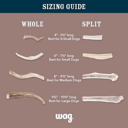 Amazon Brand - Wag Dog Deer Antler Chew, Naturally Shed, Whole, 9 - 10.5 inches, Long Lasting for Aggressive Chewers, X-Large, Best for Dogs over 45 lbs