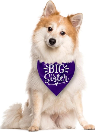 Big Sister Dog Bandanas, Purple Dog Bandana, Pet Scarf Accessories, Pet Triangle Scarf, Dogs Bandana for Large Dogs, Baby Announcement Dogs Bandanas (L)