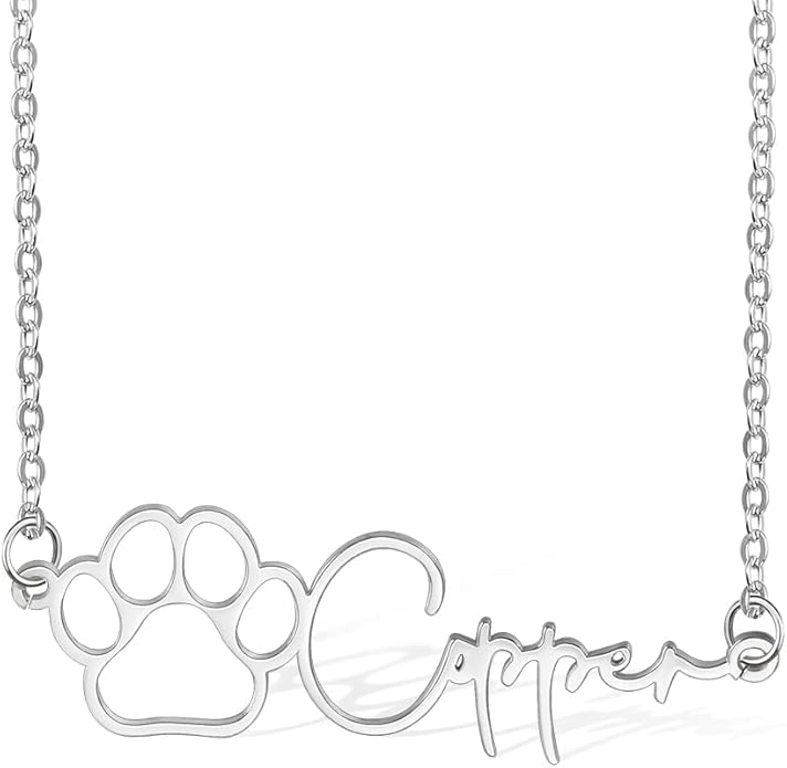 AILIN Custom Dainty Name Necklace Stainess Steel Memorial Pet Necklace For Women Personalized Dog Paw Print Pendant Necklace Anniversary Birthday Gift for Pet Loss Lovers