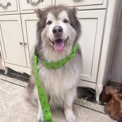 Dog Poop Bags Rolls with Handles 40 Rolls 480 Counts Big Sizes Leak Proof and Extra Thick Waste Bags for Walking Medium Large Dogs Cats Litter Unscented