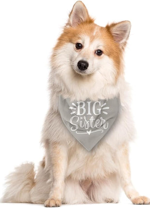 Big Sister Dog Bandanas, Light Gray Dog Bandana, Pet Triangle Scarf Accessories, Pet Bandanas for Large Dogs, Baby Announcement Dogs Bandana (L)