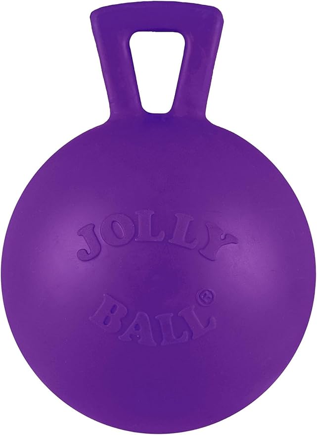 Jolly Pets Tug-n-Toss Heavy Duty Dog Toy Ball with Handle, 4 Inches/Petite, Purple (404 PR)