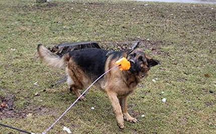 Jalousie Collapsible Dog Flirt Pole with Three Squeaky Toys Plush Toys Dog Teaser Wand Chase it Toy with Refills Upgraded Rope