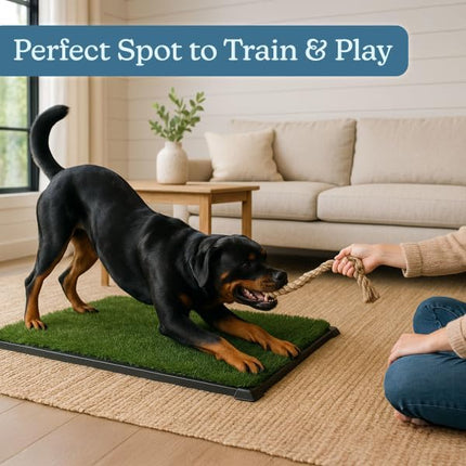 Artificial Grass Puppy Pee Pad for Dogs and Small Pets - 41X27 Inch, Reusable 4-Layer Turf Pads for Dogs with Tray - Indoor and Outdoor Fake Grass Potty Pet Supplies by PETMAKER