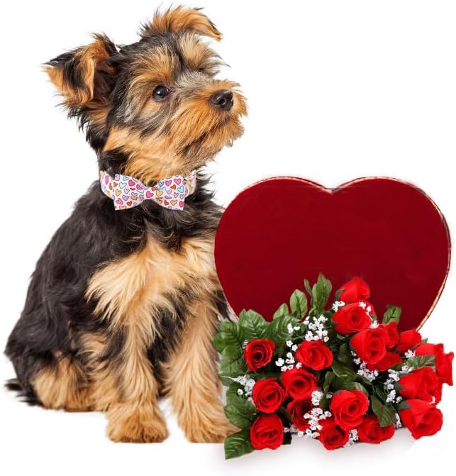 Lionet Paws Valentine's White Dog Collar, Cute Heart Dog Collar for Small Dogs, Adjustable Cotton Pet Puppy Collars for Small Dogs