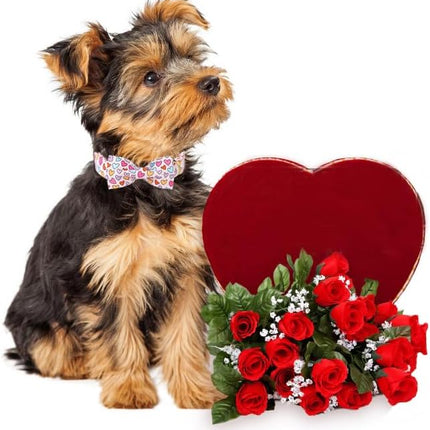 Lionet Paws Valentine's White Dog Collar, Cute Heart Dog Collar for Large Dogs, Adjustable Cotton Pet Collars for Large Dogs