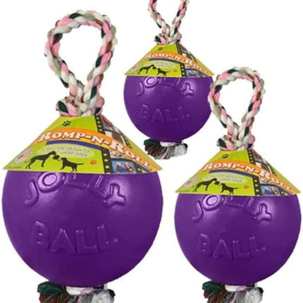 Jolly Pets Romp-n-Roll Rope and Ball Dog Toy, 6 Inches/Medium, Purple