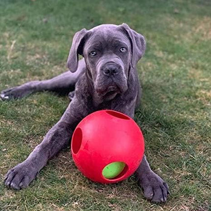 Jolly Pets Teaser Ball Dog Toy, Large/8 Inches, Red