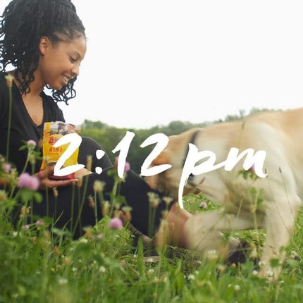 Zuke's Mini Naturals Dog Training Treats, Soft Mini Dog Treats with Vitamins & Minerals, Made for All Breed Sizes Chicken, 16 Ounce (Pack of 2)