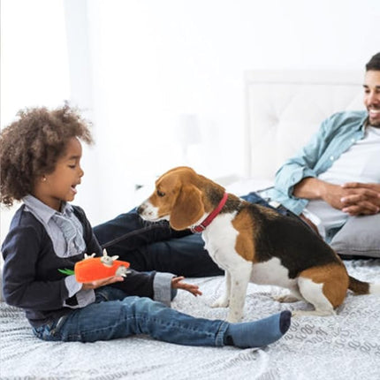 IFOYO Hide and Seek Dog Puzzle Toys, Plush Interactive Puppy Toys for Small, Medium Dogs, Easter Puppy Essentials