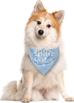 Big Sister Dog Bandanas, Light Blue Pet Scarf Accessories, Pet Triangle Scarf, Dog Bandana for Large Dogs, Baby Announcement Dogs Bandana (L)