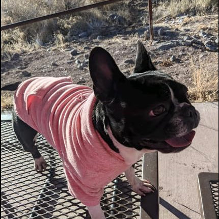 Blank Dog Sweatshirt Pet Hoodie for Medium Girl Dogs Doggie Clothes