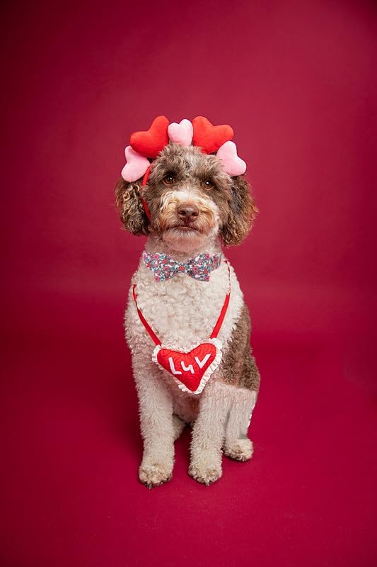 Lionet Paws Pink Flower Dog Collar, Cute Spring Dog Collar for Girl for Medium Dogs, Adjustable Cotton Flower Pet Collars for Small Medium Dogs