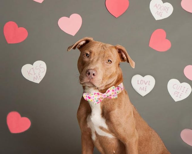 Lionet Paws Valentine's Pink Dog Collar, Cute Heart Dog Collar for Medium Dogs, Adjustable Cotton Pet Collars for Small Medium Dogs