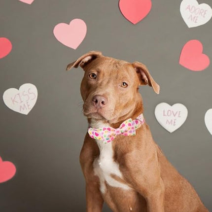 Lionet Paws Valentine's Pink Dog Collar, Cute Heart Dog Collar for Large Dogs, Adjustable Cotton Pet Collars for Large Dogs