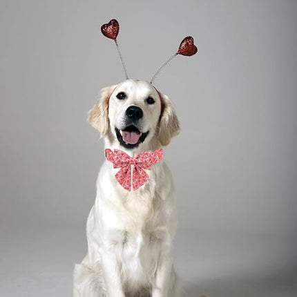 Lionet Paws Dog Collar with Bowtie, Sailor Bow, Metal Buckle, Adjustable, Small, Red, Pink, Detachable Stylish Bowtie, Fits Dog Neck 10-16 Inches