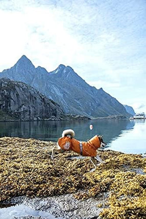 Hurtta Monsoon Coat, Dog Raincoat, Buckthorn, 14 in