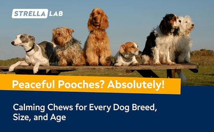 STRELLALAB Hemp Calming Chews for Dogs - Melatonin Dog Treats - Anxiety Relief - Calming Chews - Sleep & Stress Aid for Separation - 120ct Hickory Bacon Flavor