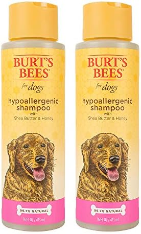 Burt's Bees for Pets Hypoallergenic Shampoo for Dogs with Shea Butter and Honey, 2pk, 95% Natural Origin Formulas, Shampoo for Sensitive Dogs - Gentle Dog Shampoo, 2pk, 16 oz