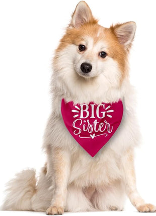 Big Sister Dog Bandana, Deep Pink Dogs Scarf Accessories, Pet Triangle Scarf, Pet Bandana for Large Dogs, Baby Announcement Dog Bandanas (L)