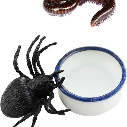 6 Pcs Spider Micro Water Bowl Mini Ceramic Dish for Spider Tarantula Millipede Tiny Reptile (Small: 0.86" D, 0.43" H)