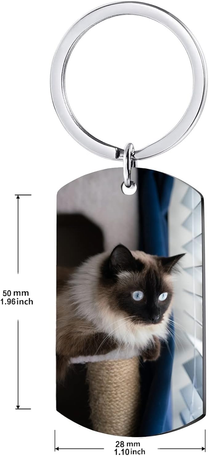 Funnylife Personalized Pet Memorial Keychain for Cats Stainless Steel Custom Cat Photo Keychain Pet Memory Keepsake Loss of Cat Sympathy Gifts