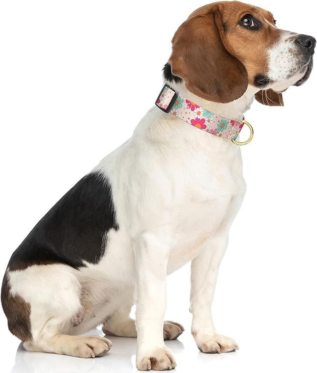 Rnivvi Dog Collar for Medium Dogs, Cute Heavy Duty Adjustable Puppy Collar with Quick Release Buckle for Girl & Female, Pet Accessories for Walking Running, M Length 1" Width, Hand Drawn Flowers