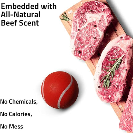 Playology Dog Toys | Squeaky Chew Ball - Bouncy Durable Floating Fetch Ball for Dogs, Value 2-Pack | Medium Beef Scented Toy - Easy to Clean and Made from Non Toxic Materials