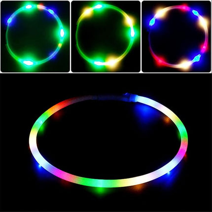 Light Up Dog Collar, Rechargeable Glowing Dog Collar, Light Dog Collar for Night Walking with 1640 FT of Visibility - Brightest LED Dog Collar Light, 3 Flashing Modes, Keeps Your Pets Safe in The Dark