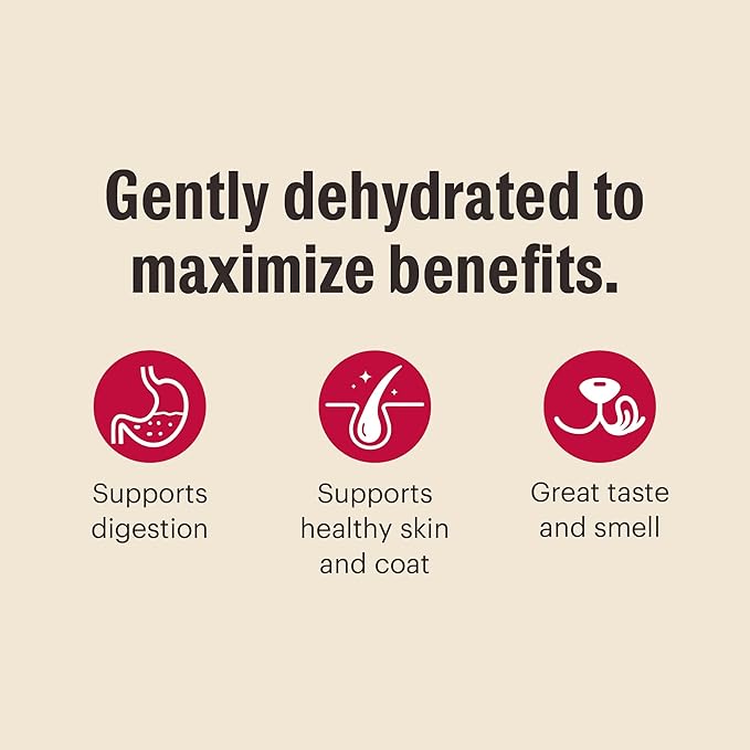 The Honest Kitchen Wholemade™ Whole Grain Turkey Dog Food, 10 lb Box