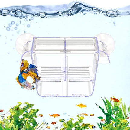 Fish Breeding Box Aquarium Holding Tank Transparent Fish Isolation Box Acclimation Hatchery Incubator Breeder for Betta Shrimp Clownfish Guppy Small