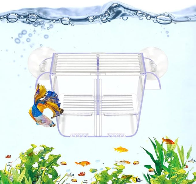 Fish Breeding Box Aquarium Holding Tank Transparent Fish Isolation Box Acclimation Hatchery Incubator Breeder for Betta Shrimp Clownfish Guppy Small