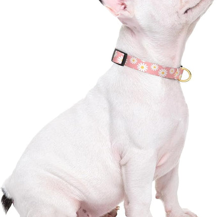 Rnivvi Dog Collar for Small Dogs, Cute Heavy Duty Adjustable Puppy Collar with Quick Release Buckle for Girl & Female, Pet Accessories for Walking Running, XS Length 5/8" Width, Pink Daisy Flower