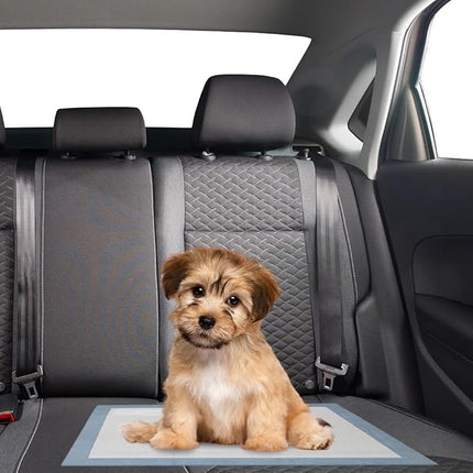 BV Puppy Pads Leak-Proof 50 Count 22"x 22" - Absorbent Pee Pads for Dogs with 6-Layer Design, Rapid Dry Sheet & Built-in Attractant - Dog Pad with Odor Control, Perfect for Puppies & Senior Dogs