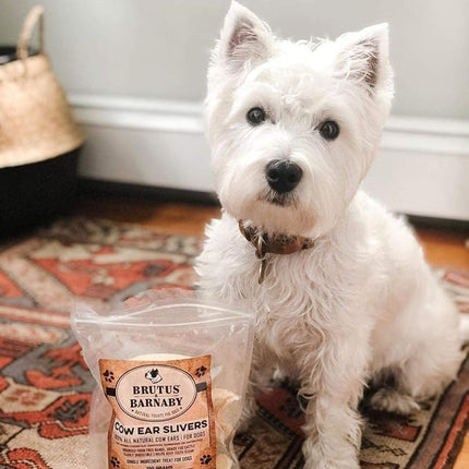 BRUTUS & BARNABY Cow Ears for Dogs – Thick Cut, Grass-Fed Angus Beef, All-Natural No-Rawhide Dog Treat Alternative