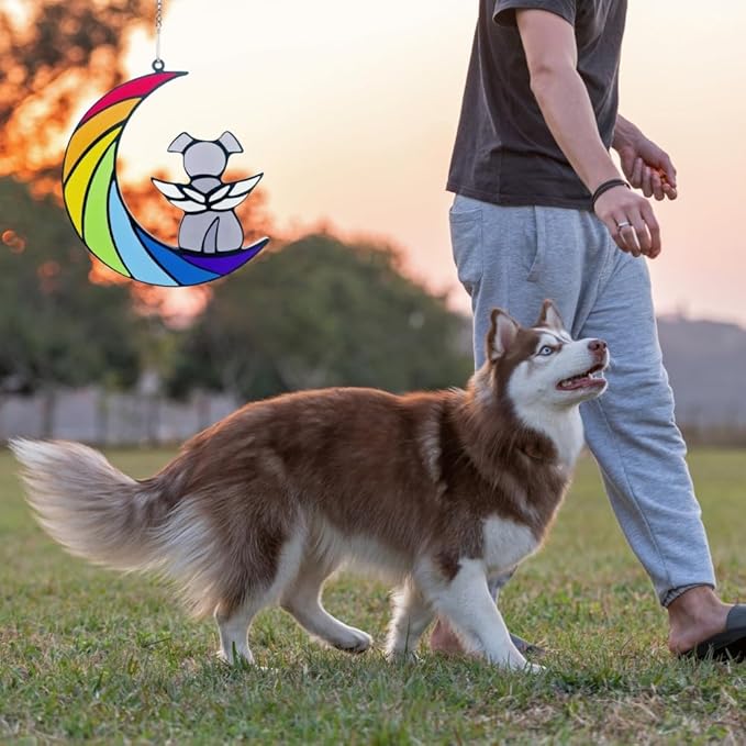 Dog Memorial Gifts, Death Sympathy Gift for Loss of Dogs, Rainbow Bridge Pet Passing Away Pet Memorial Sun Catcher Gifts
