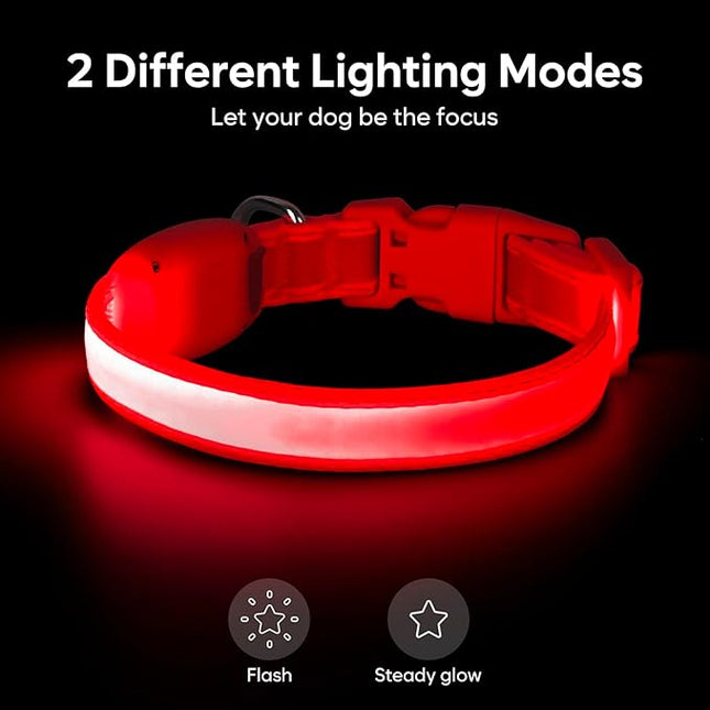 Light up Collar for Small Dog,Vizpet XS Adjustable Size Nylon Collar USB Rechargeable Bright Safety Pet Collar for Cats Small Dogs(Red, X-Small[ 8.66-11.9 inch/22cm-30cm])