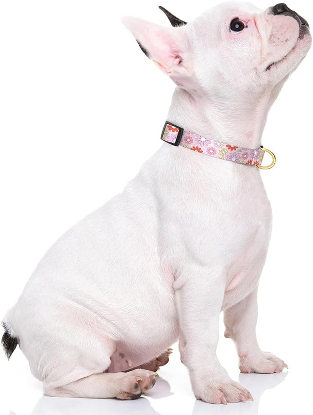 Rnivvi Dog Collar for Small Dogs, Cute Heavy Duty Adjustable Puppy Collar with Quick Release Buckle for Girl & Female, Pet Accessories for Walking Running, S Length 3/4" Width, Colorful Chamomile